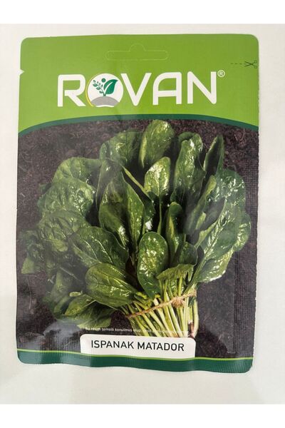 Ispanak Matodor Tohumu 10 GR