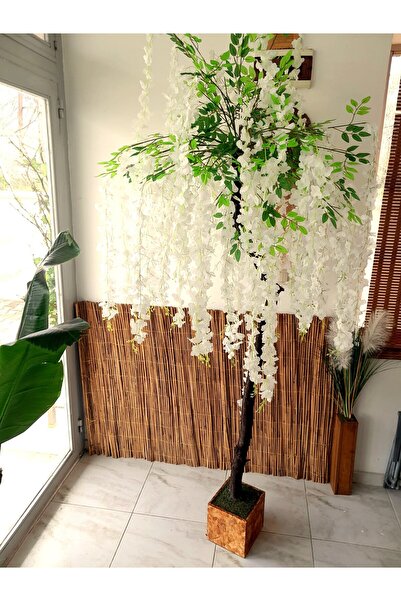 Genel Markalar Yapay Beyaz Sarkıt Bahar Ağacı Akasya Ağacı 1.90 Mt Boy Yaz Be...