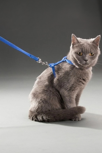 ThenTech Yeni Nesil Kedi Tasması Dışarıda Gezdirmek İçin Rahat Kullanım Göğüs...