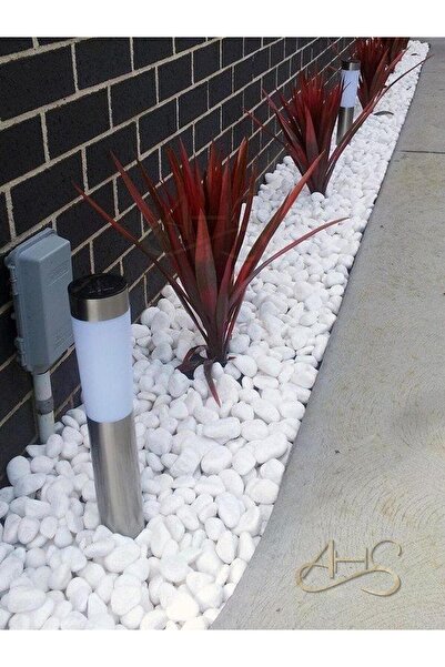 AHS Beyaz Dolomit Taş 30 Kg 2-4 Cm Dere Çakıl Taşı Bahçe Peyzaj Süs Taşı Saks...