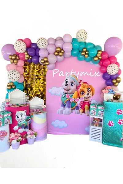 party mix Paw Patrol Balloon Chain Paw Patrol Birthday Concept Pink Set of 65