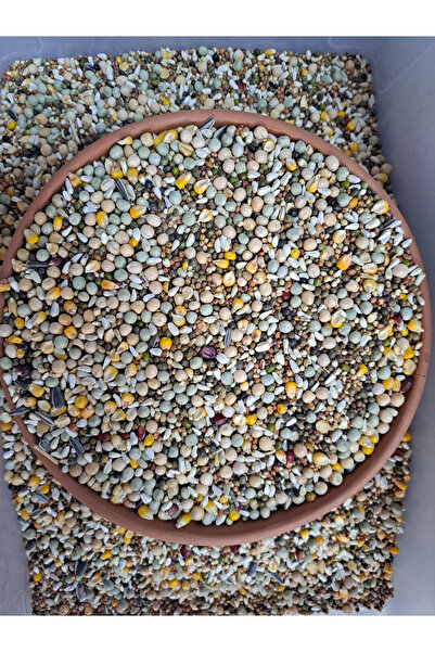 Omnixer 5 Kg Lüks Taze Karışık Güvercin Yemi, Tavuk Yemi (11 çeşit yem karışık)