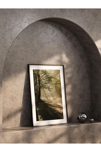 Postifull Forest No:19 Φωτογραφία τυπωμένη αφίσα χωρίς πλαίσιο - Διακόσμηση τοίχου σαλονιού, κουζίνας, σαλονιού, αίθουσας