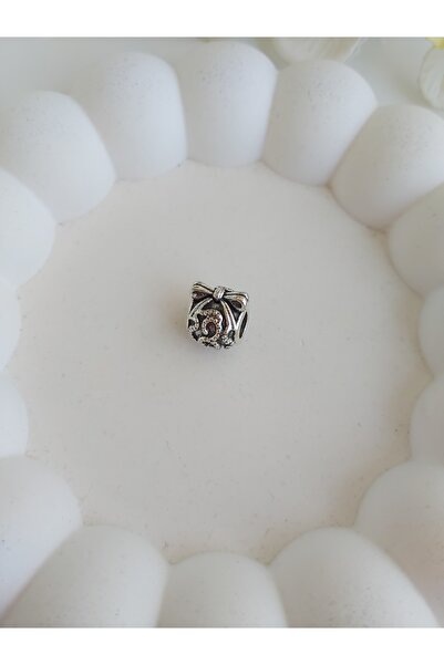 ELVNSTEL Silver Charm