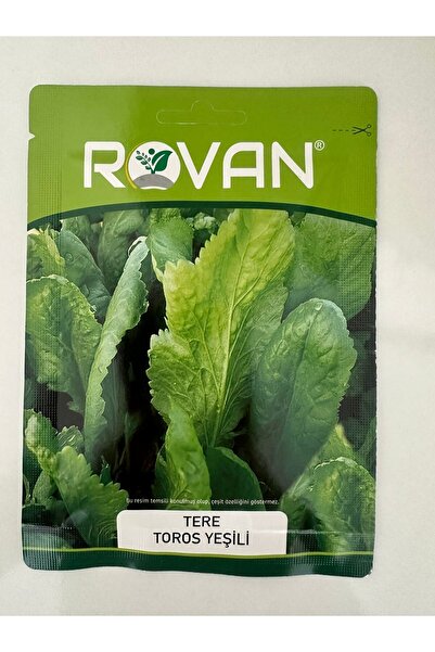 Tere Tohumu Toros Yeşili 25 gr