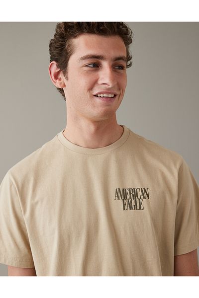AMERICAN EAGLE Brown Men's T-Shirt U-0181-3094