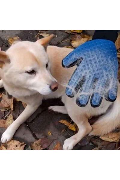 EvimShopping Feather Collection Glove for Cat and Dog