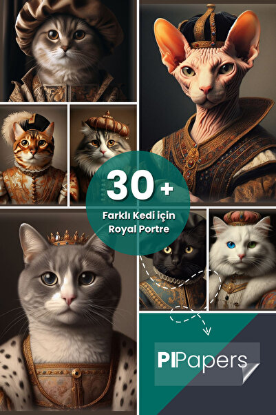 Pi Papers Siyah Beyaz Kedi, Statik Kağıt Premium Baskı Poster, Iki Renkli Kedi Poster, Yapay Zeka Tasarım