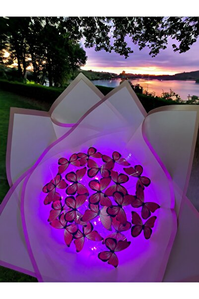 HOVARDA Led Işıklı Pembe Kelebek Buketi Sevgiliye Hediye Doğum Günü Anneye Ar...