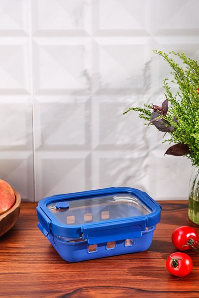 Emsan Smart 640 ml Borosilicate Storage Container
