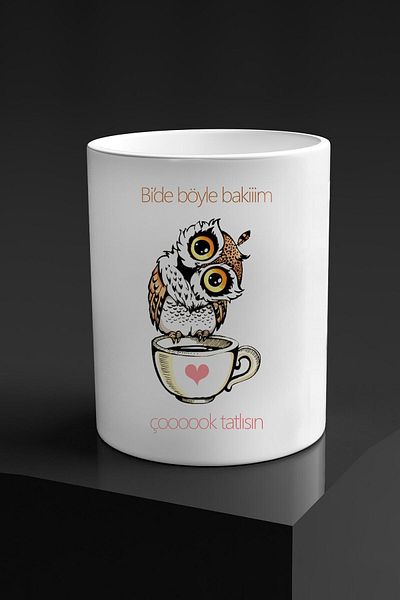 yhfoto Baykuş Double Coffee Cup without Handle - 300 Ml. - Water glass -