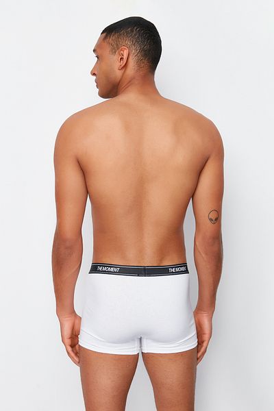 Trendyol Collection 3-Piece Flexible Cotton Boxers with Multicolor Lettering Elastic Tmnaw24Bx00005