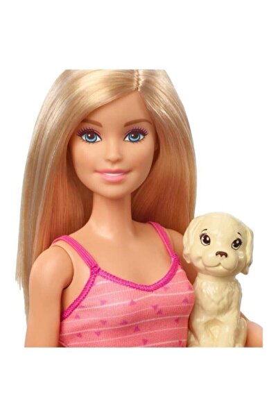 mattel Barbie Bebek Ve Aksesuarları 3 Yavru Köpekli Oyun Seti Lisanslı - Gdj37 (LİSİNYA)