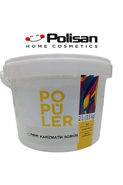 Polisan Popüler Ekonomik Fiyatlı İç Cephe Duvar ve Tavan Boyası 3.5 Kg Karizm...
