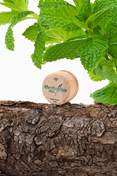 Şık Kalıp Mentolbox Spa Masaj Mentol Taşı