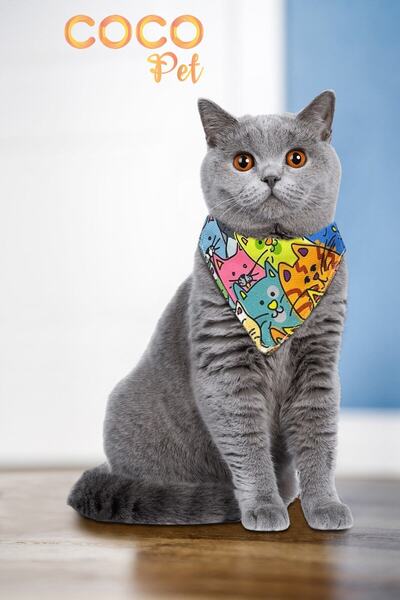Cocopet Desenli Fular Bandana Kedi Tasması