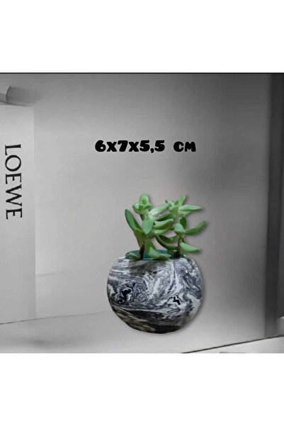 Dodemert Home Mermer Görünümlü Oval Beton Saksı & Mumluk