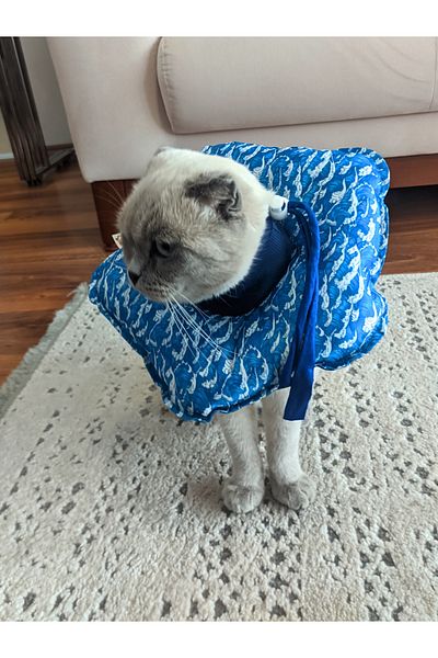 UTDpet Waves Patterned Cat and Dog Elizabeth Protective Collar