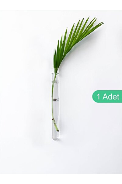 Noue Store Mıknatıslı Dekoratif Cam Vazo Bitki Köklendirme Için Minimal Buzdo...