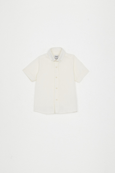 PAULMARK Boy's Solid Color Shirt