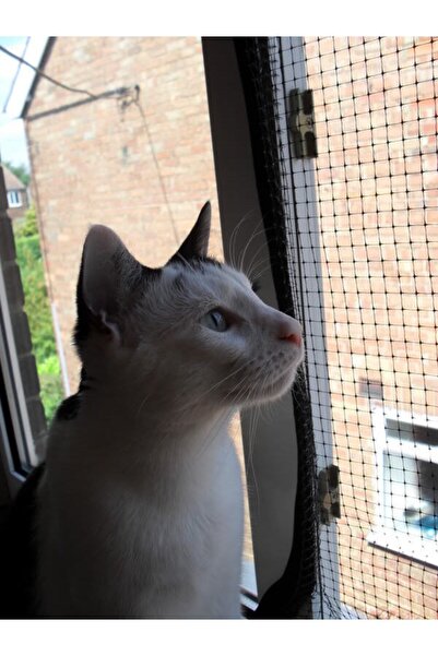 Genel Markalar File 1x3 Metre Plastik Balkon Pencere Kuş Kedi Kümes Bahçe Tel...