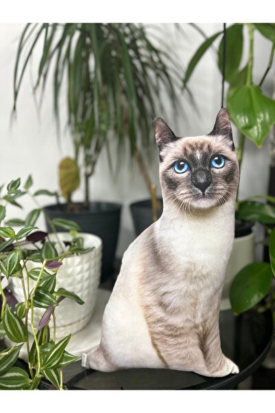 Pethoven Kedi şeklinde yastık "Siyam kedisi"