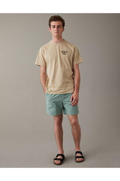 AMERICAN EAGLE Brown Men's T-Shirt U-0181-3094