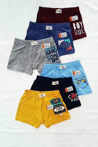 İlke Pack of 6 Multicolored and Printed Cotton Boys' Boxers