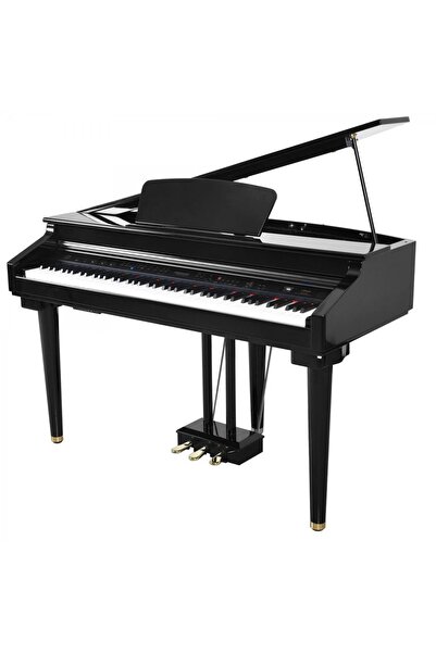 Artesia Ag-30 Mikro Kuyruklu Siyah Dijital Piyano