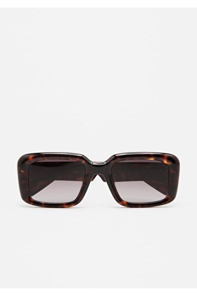 Kaleos Sunglasses Fraze