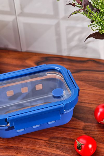 Emsan Smart 640 ml Borosilicate Storage Container