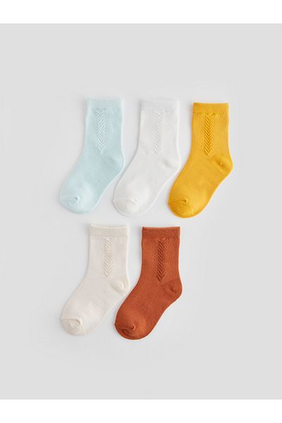 LC Waikiki Set of 5 Basic Socks for Baby Boy