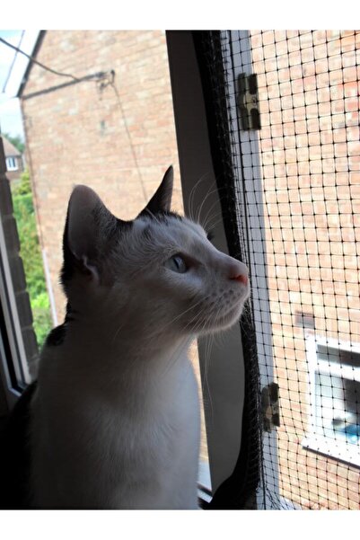 Genel Markalar File 1x4 Metre Plastik Balkon Pencere Kuş Kedi Kümes Bahçe Tel...