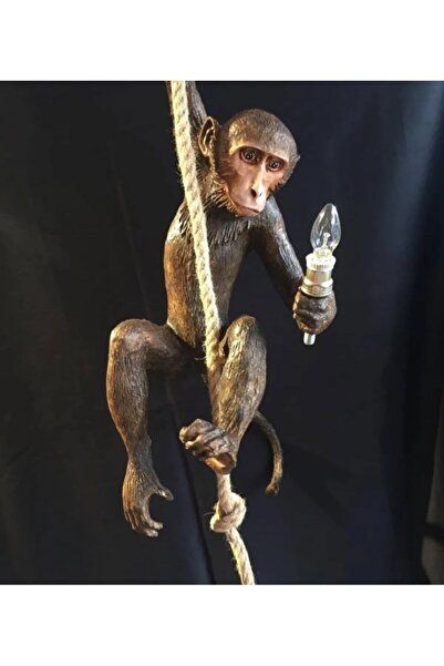 ufak dusler atölyesi Avize maymun halat içinden geçen elektrik tesisatı