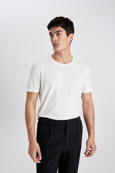 DeFacto Regular Fit Crew Neck T-Shirt T5014AZ24SP