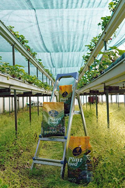 Renaissance Organik Gübre 10 Kg