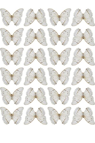 MEDUSAART Kelebek Buketi İçin Parlak Kalın 230gr Fotoğraf Kağıdı