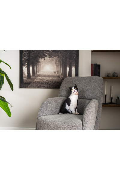 Pethoven Kedi şeklinde yastık "British shorthair " Minnoş