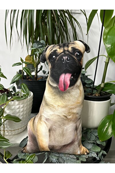 Pethoven Köpek şeklinde yastık KOFİ