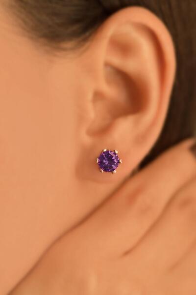 Erdobia Şubat Ametist Doğum Taşı Rose Tektaş Çivili Gümüş Küpe