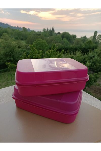 Tupperware F20 Storage Set of 2
