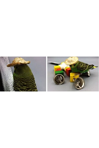 AKTEZ-EL Bird Hat Accessory - Cute Pet Comfortable Straw Fedora Hat Three (3) Pieces
