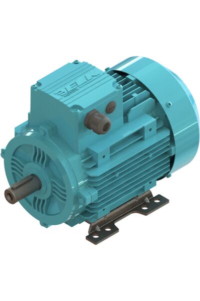 ELK Ayaklı Alüminyum Elektrik Motoru 0.55 Kw 3/4 Hp 3000 D/d 2el 071m2b 380 4...