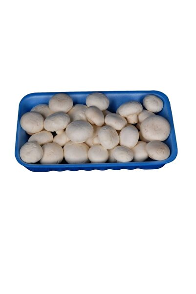 Özkuruşlar Mantar Kültür Paket