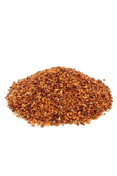 Aktarzane Süpürge Otu Tohumu 250gr