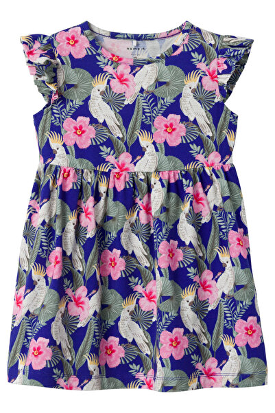 Name it NMFFIONIA SS RUHA