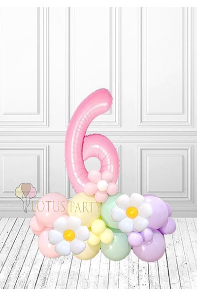 LOTUS PARTY Σετ πάρτι γενεθλίων 6 ετών - Θέμα Daisy, ροζ αριθμός και μπαλόνι από αλουμινόχαρτο