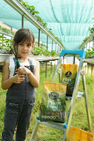 Renaissance Organik Gübre 5 Kg