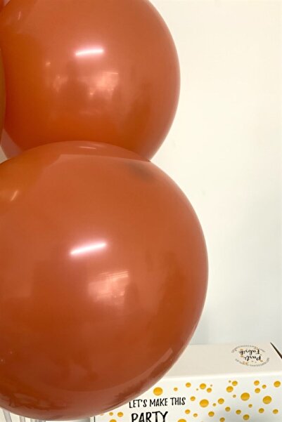 Partifabrik Burnt Orange Retro Color Matte Pastel Balloon 10 Pieces