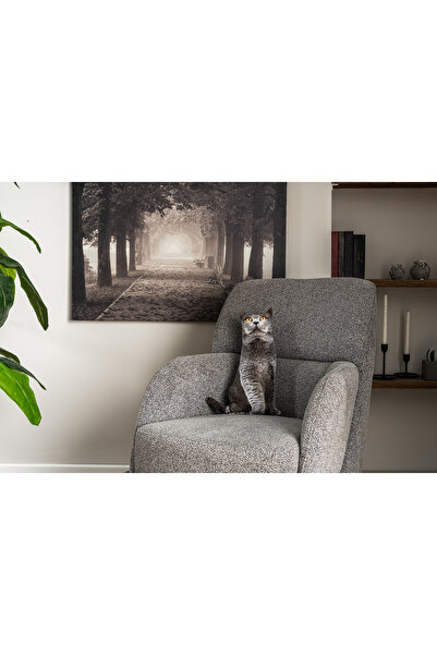 Pethoven Kedi Şeklinde Yastık "british Shorthair" Leon